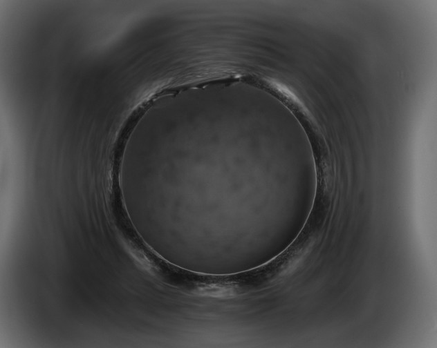 X0000084530447200703021425