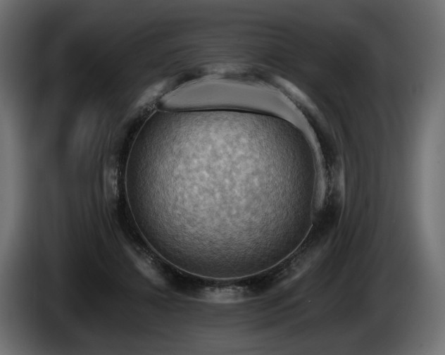 X0000084530452200703021425