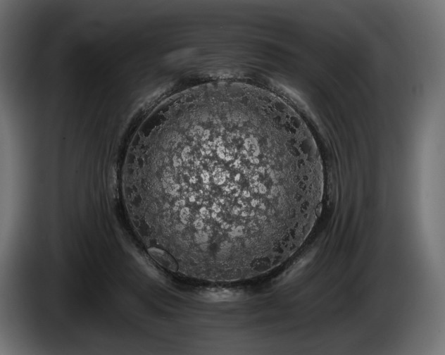 X0000084530453200703021425
