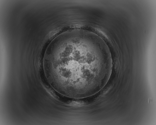 X0000084530455200703021425