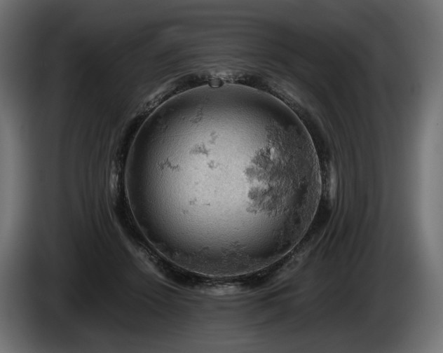 X0000084530456200703021425