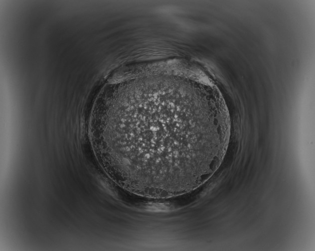 X0000084530457200703021425