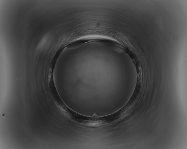 X0000084530458200703021425