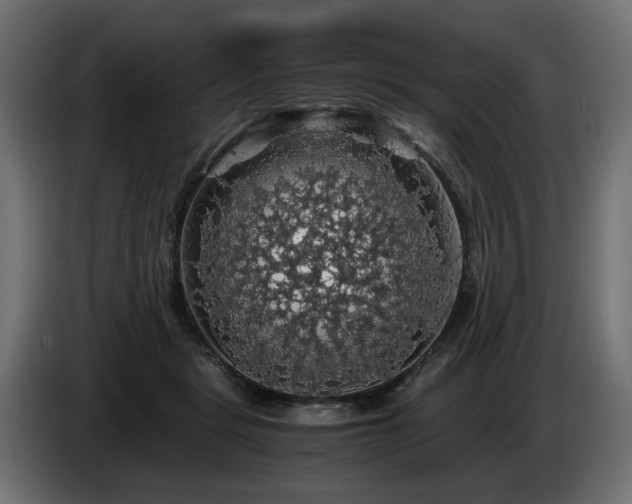 X0000084530461200703021425
