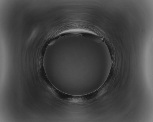 X0000084530462200703021425