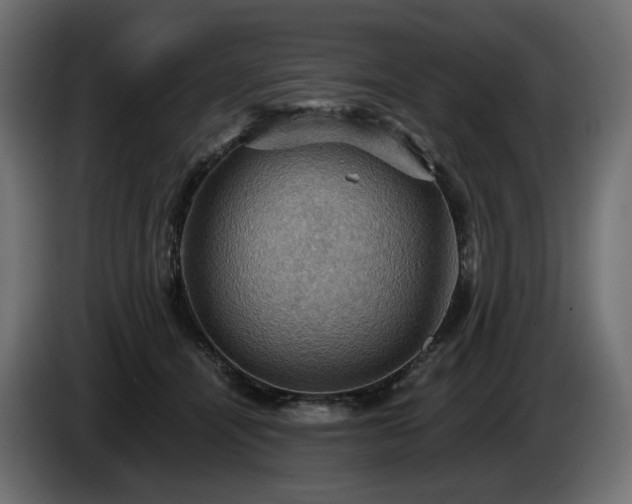 X0000084530464200703021425