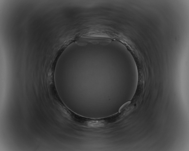 X0000084530465200703021425