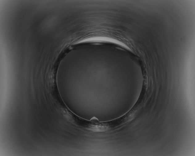 X0000084530466200703021425