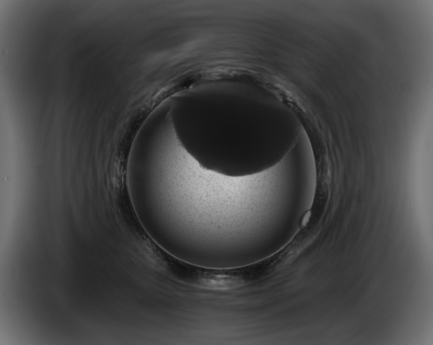 X0000084530467200703021425