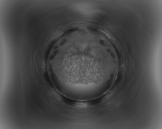 X0000084530469200703021425