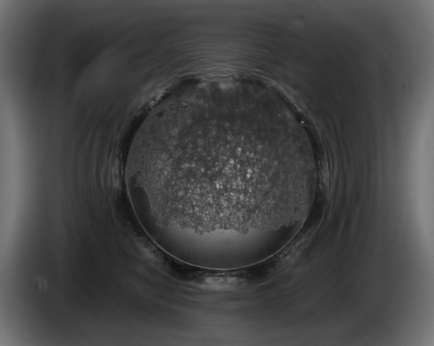 X0000084530470200703021425