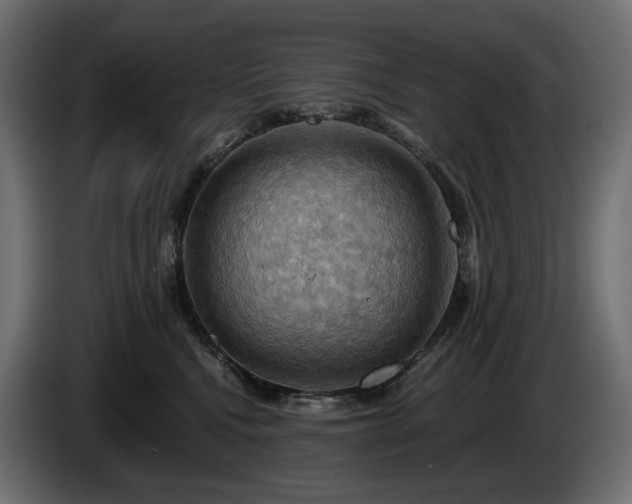 X0000084530472200703021425