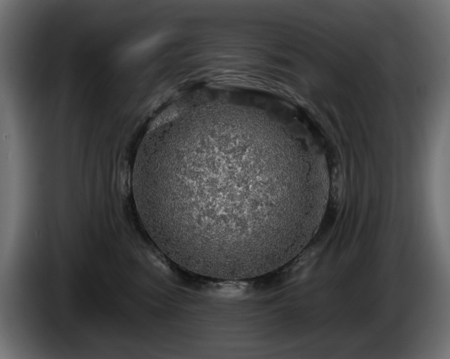 X0000084530474200703021425