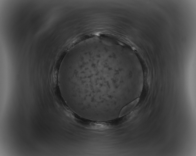 X0000084530475200703021425