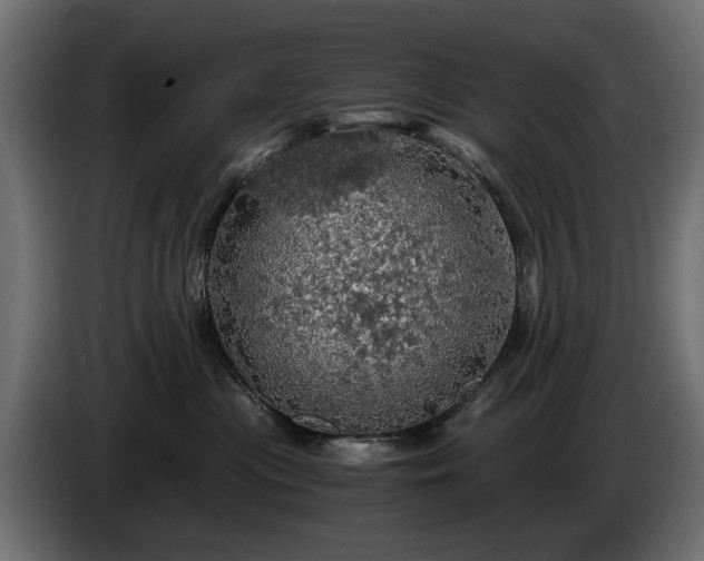 X0000084530477200703021425