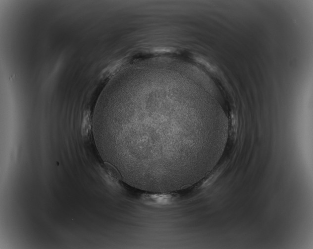 X0000084530478200703021425