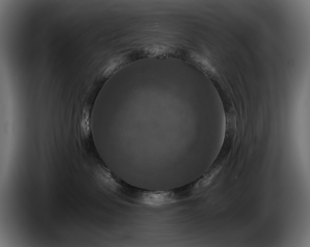 X0000084530479200703021425