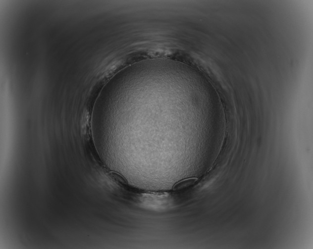X0000084530480200703021425