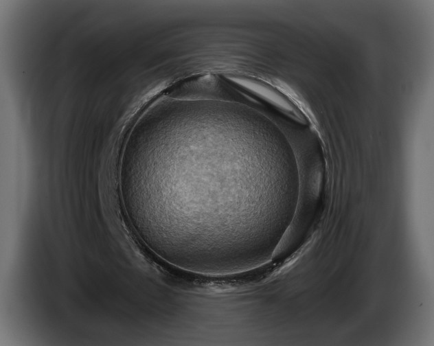 X0000084530481200703021424