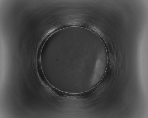 X0000084530482200703021424