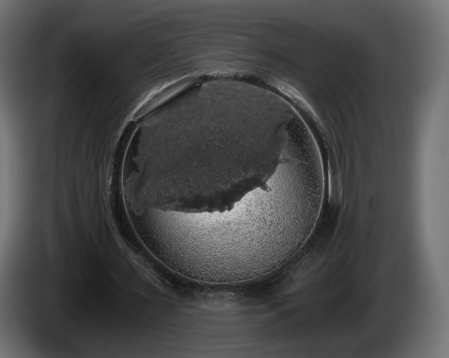 X0000084530483200703021424