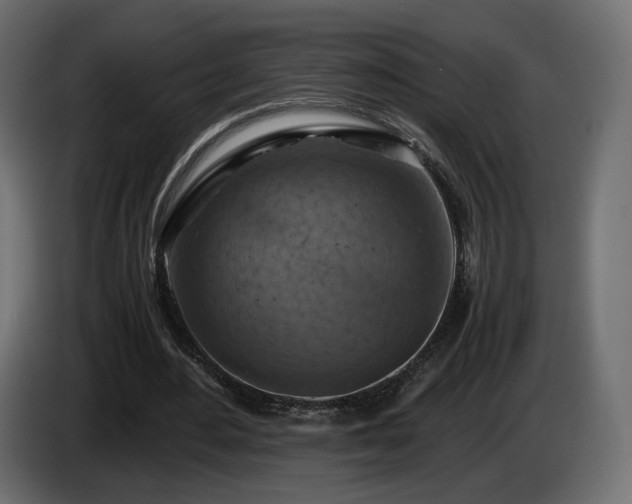 X0000084530484200703021424