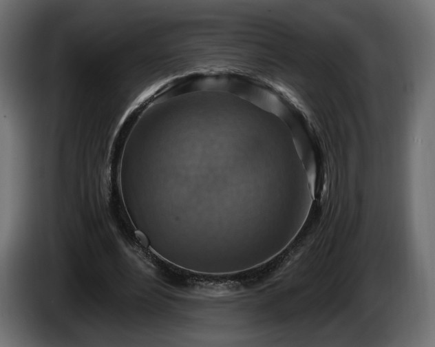 X0000084530488200703021424