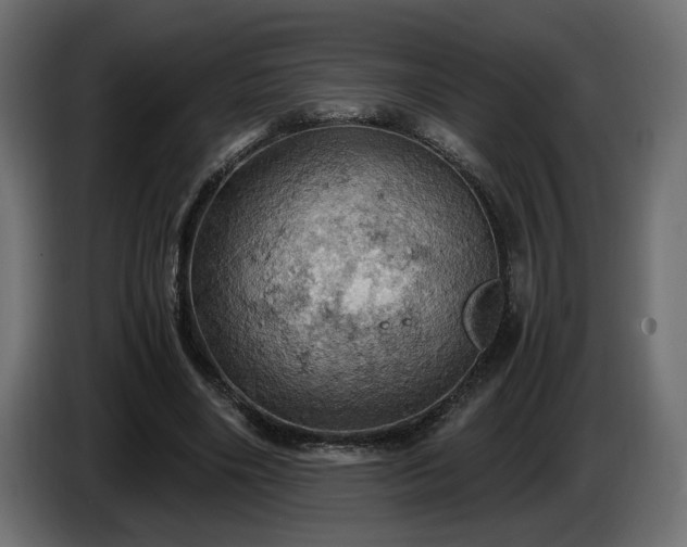 X0000084530490200703021424