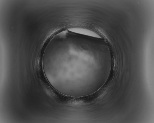 X0000084530491200703021424
