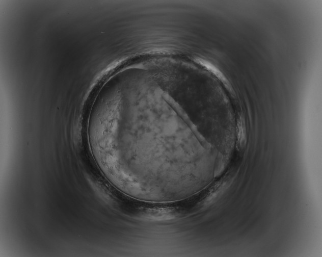 X0000084530492200703021424