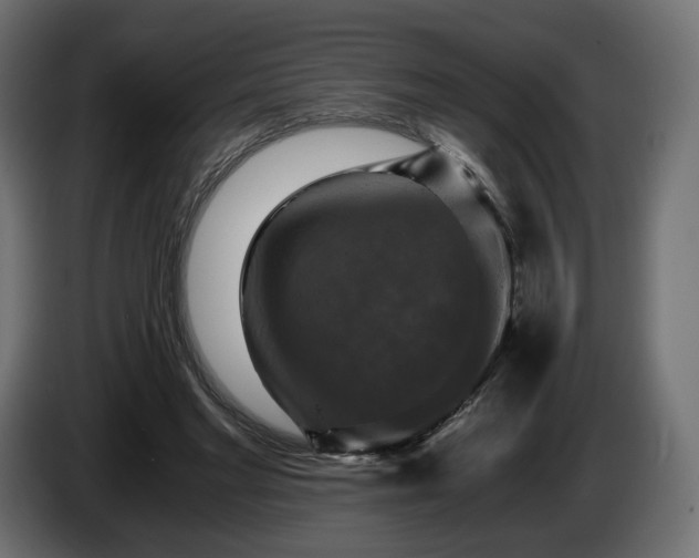 X0000084530493200703021424
