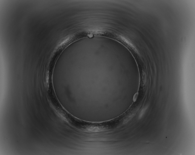 X0000084530494200703021424