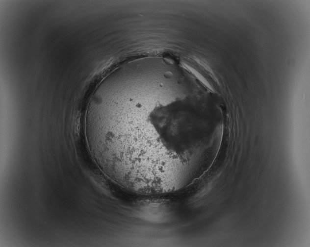 X0000084530495200703021424