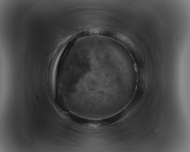 X0000084530496200703021424