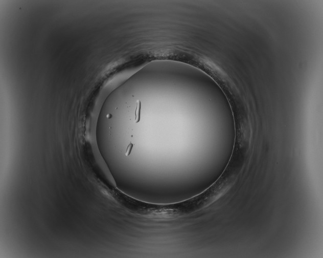 X0000084530497200703021424