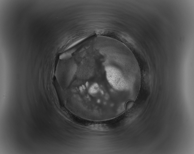 X0000084530499200703021424
