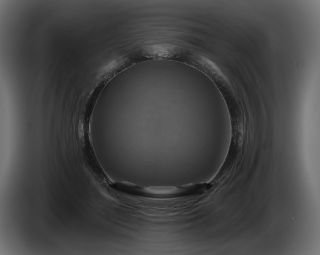 X0000084530500200703021424