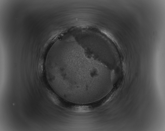 X0000084530501200703021424