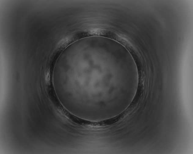 X0000084530502200703021424