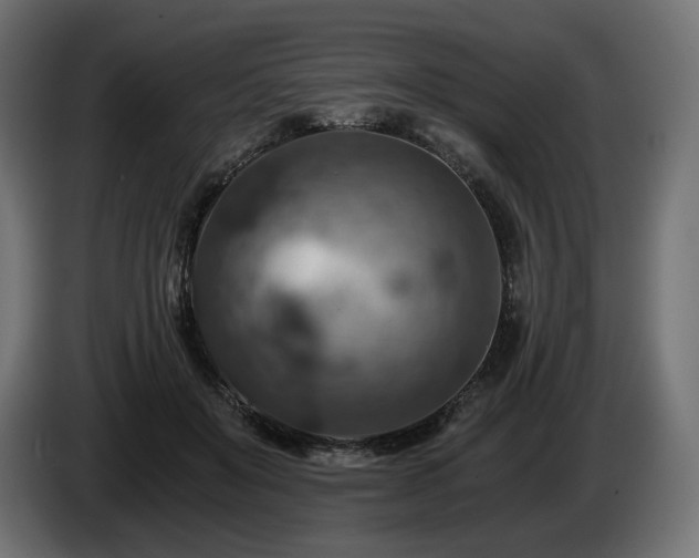 X0000084530503200703021424