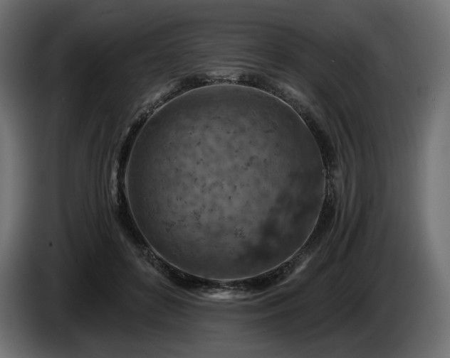 X0000084530504200703021424