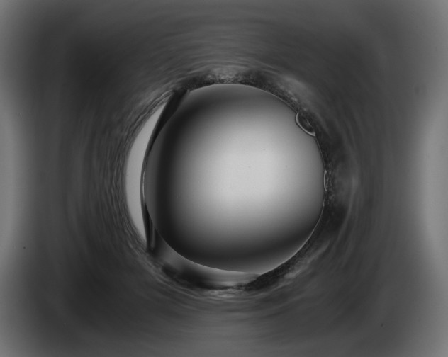 X0000084530505200703021424