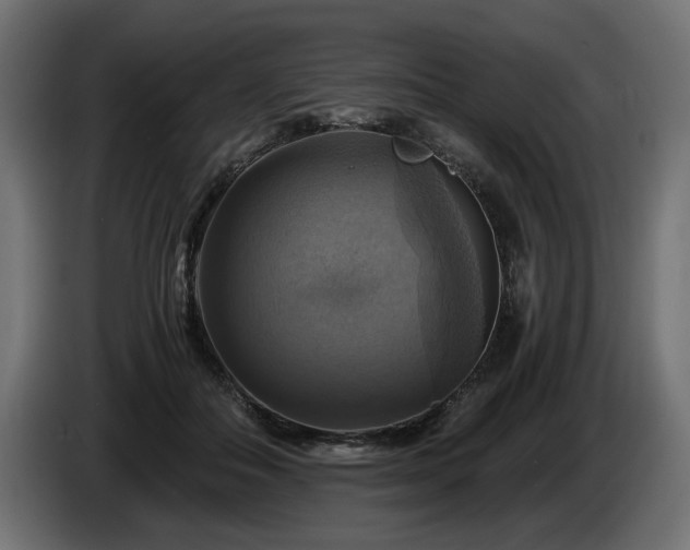 X0000084530506200703021424