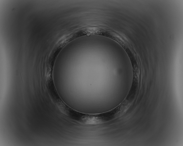 X0000084530507200703021424