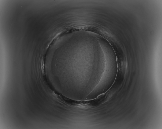 X0000084530508200703021424
