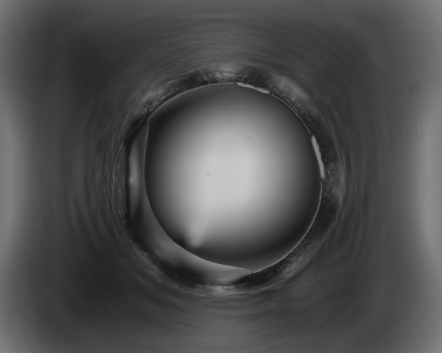 X0000084530509200703021424
