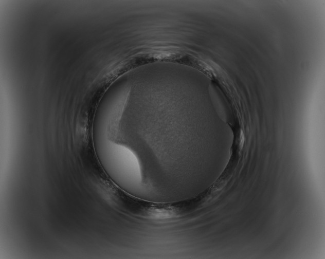 X0000084530510200703021424