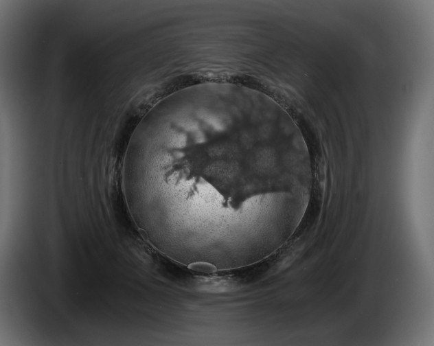 X0000084530511200703021424