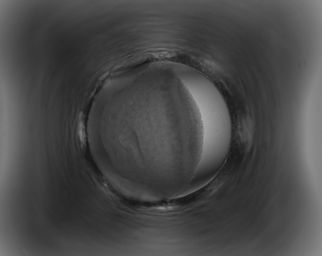 X0000084530512200703021424
