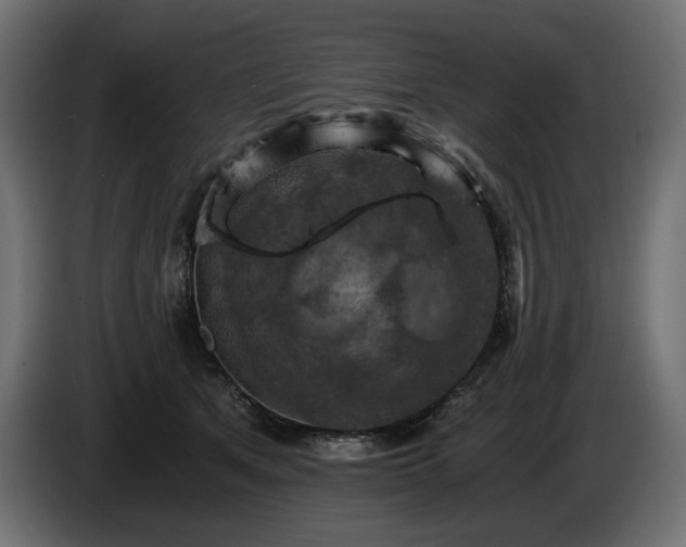 X0000084530513200703021424